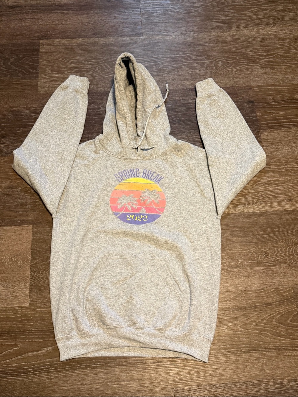 Vibes Spring Break 2023 Retro Sunset Hoodie | Gildan S